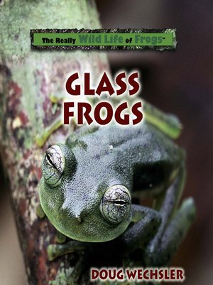 cover image of Glass Frogs